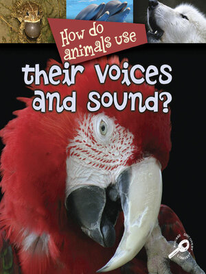 cover image of How Do Animals Use Their Voices and Sound?